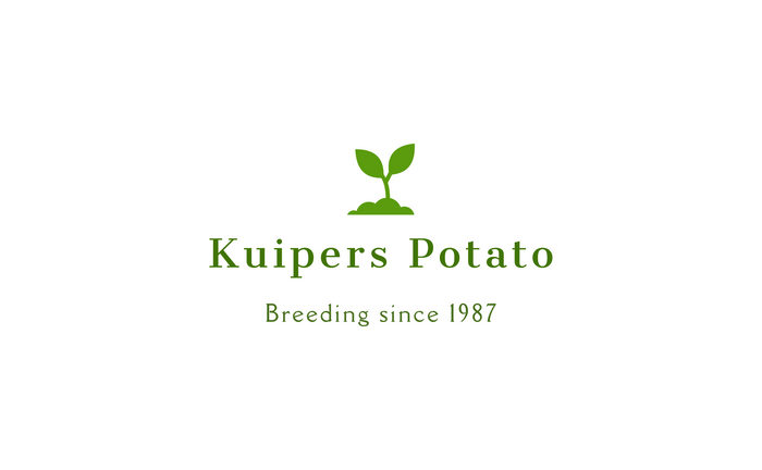 Kuipers Potato